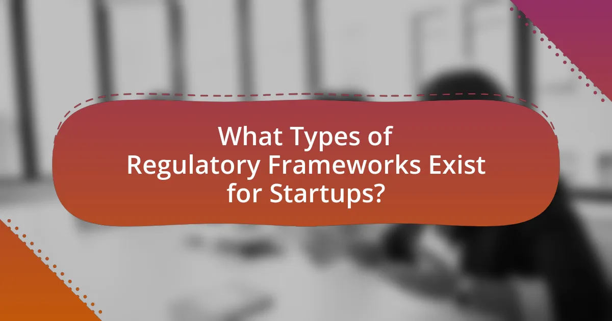 What Types of Regulatory Frameworks Exist for Startups?