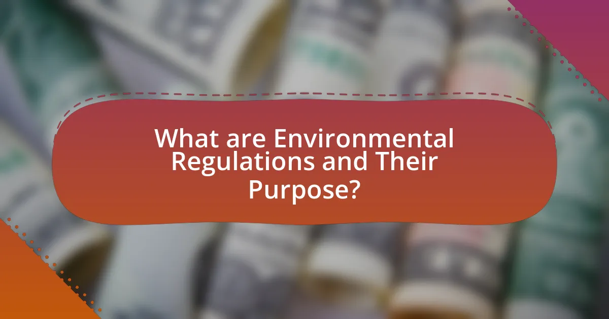 What are Environmental Regulations and Their Purpose?