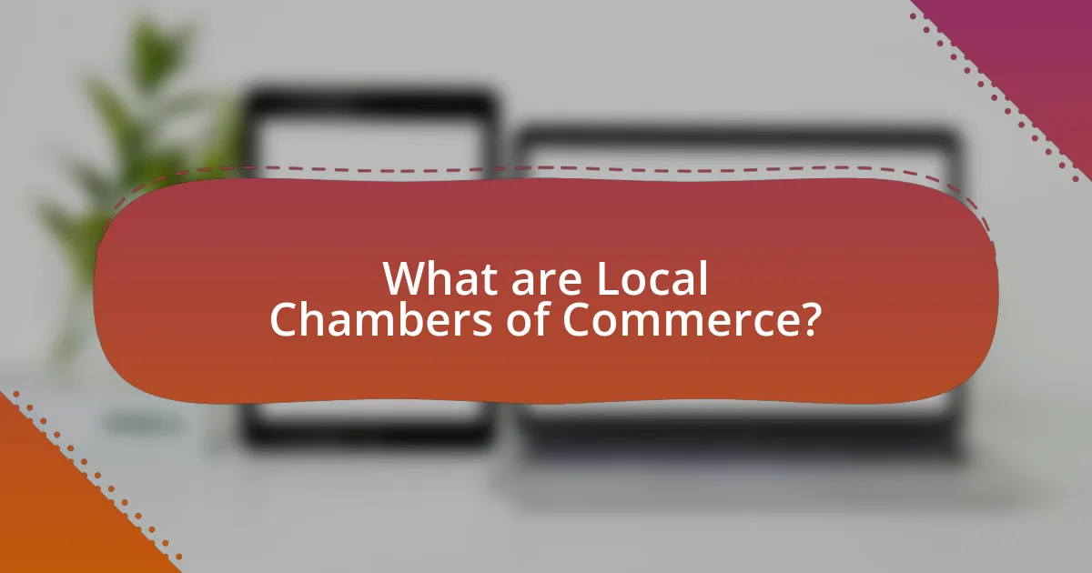 What are Local Chambers of Commerce?