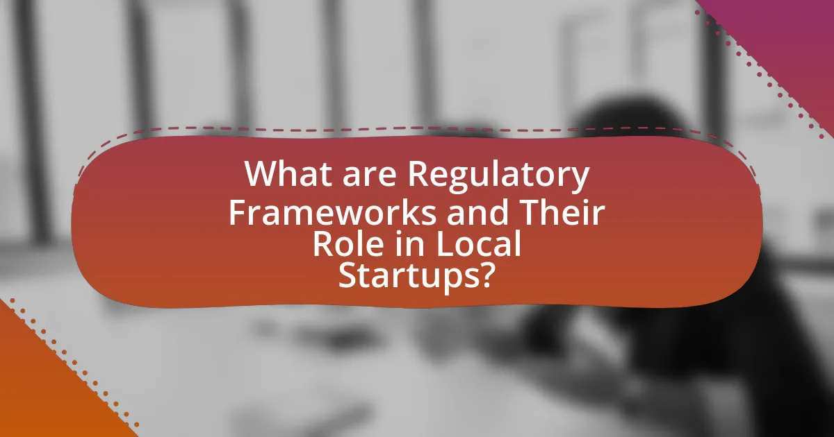 What are Regulatory Frameworks and Their Role in Local Startups?