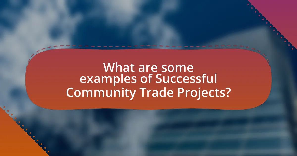 What are some examples of Successful Community Trade Projects?