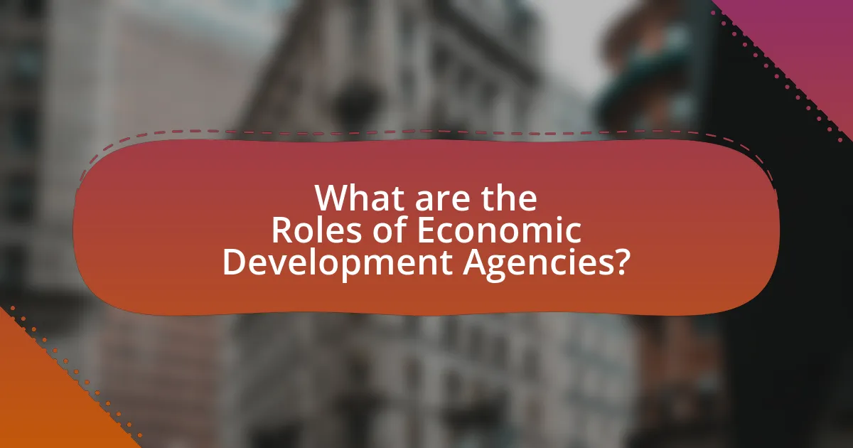 What are the Roles of Economic Development Agencies?