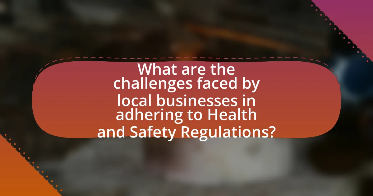 What are the challenges faced by local businesses in adhering to Health and Safety Regulations?