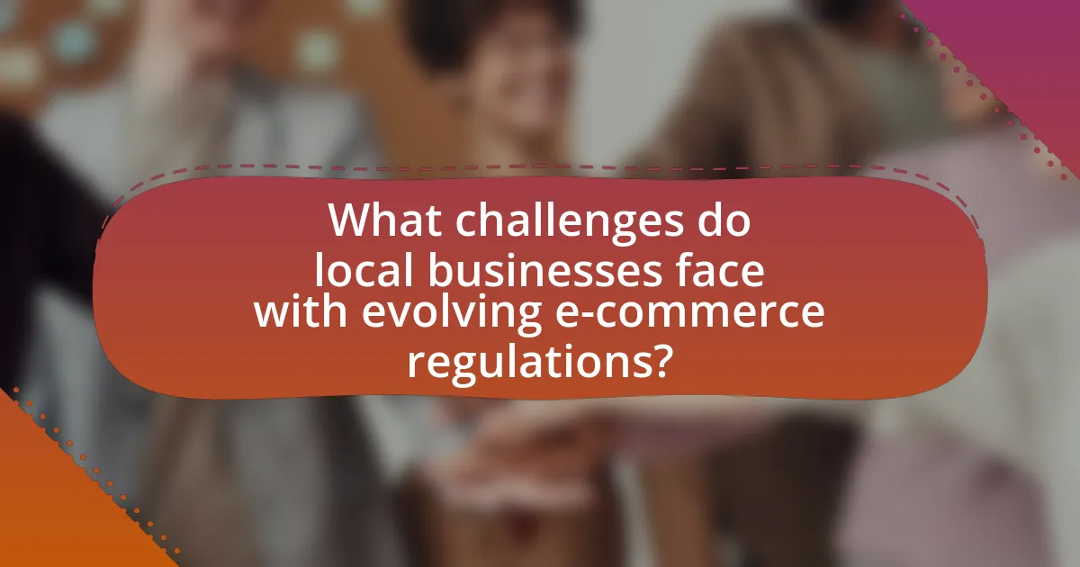What challenges do local businesses face with evolving e-commerce regulations?